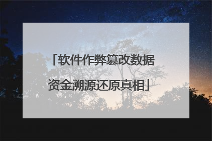 软件作弊篡改数据 资金溯源还原真相