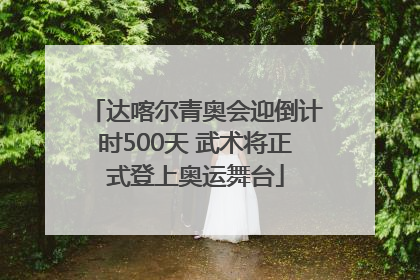 达喀尔青奥会迎倒计时500天 武术将正式登上奥运舞台