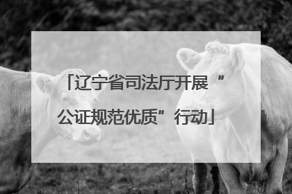 辽宁省司法厅开展“公证规范优质”行动