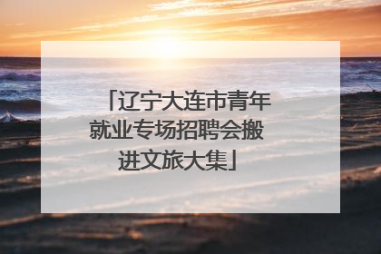 辽宁大连市青年就业专场招聘会搬进文旅大集
