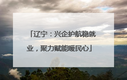 辽宁：兴企护航稳就业，聚力赋能暖民心