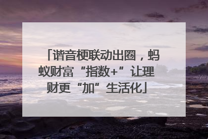 谐音梗联动出圈，蚂蚁财富“指数+”让理财更“加”生活化
