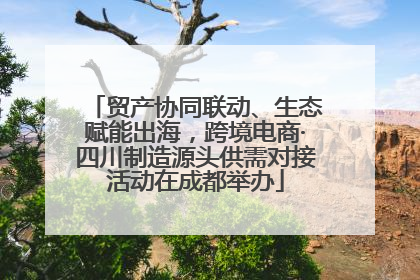 贸产协同联动、生态赋能出海，跨境电商·四川制造源头供需对接活动在成都举办