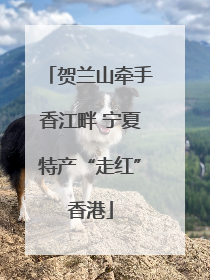 贺兰山牵手香江畔 宁夏特产“走红”香港