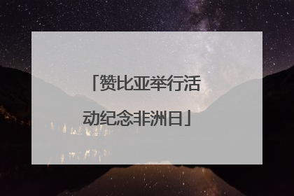 赞比亚举行活动纪念非洲日