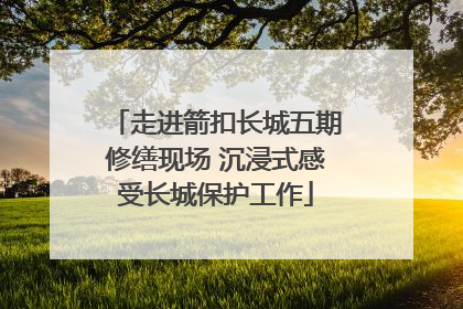 走进箭扣长城五期修缮现场 沉浸式感受长城保护工作