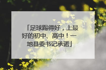 足球踢得好，上最好的初中、高中！一地县委书记承诺