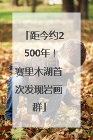 距今约2500年！赛里木湖首次发现岩画群