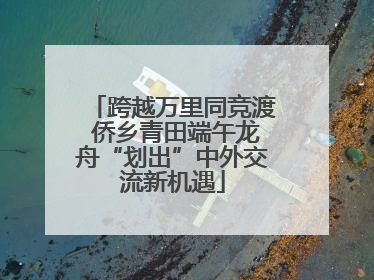 跨越万里同竞渡 侨乡青田端午龙舟“划出”中外交流新机遇
