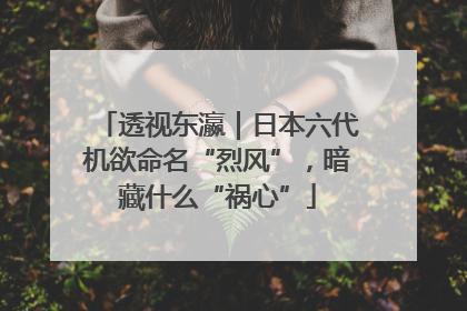 透视东瀛｜日本六代机欲命名“烈风”，暗藏什么“祸心”