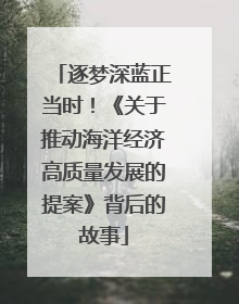 逐梦深蓝正当时！《关于推动海洋经济高质量发展的提案》背后的故事