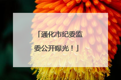 通化市纪委监委公开曝光！