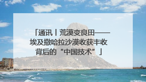 通讯丨荒漠变良田——埃及撒哈拉沙漠收获丰收背后的“中国技术”