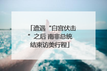 遭遇“白宫伏击”之后 南非总统结束访美行程