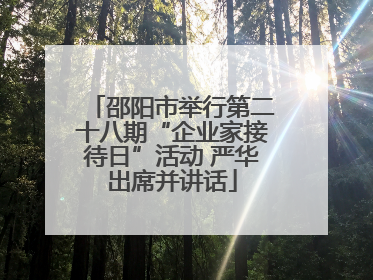邵阳市举行第二十八期“企业家接待日”活动 严华出席并讲话