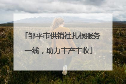 邹平市供销社扎根服务一线，助力丰产丰收