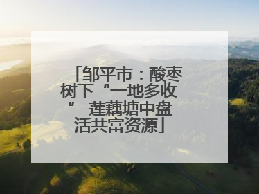 邹平市：酸枣树下“一地多收” 莲藕塘中盘活共富资源