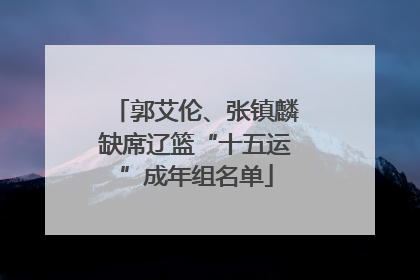 郭艾伦、张镇麟缺席辽篮“十五运”成年组名单