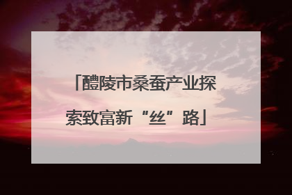 醴陵市桑蚕产业探索致富新“丝”路