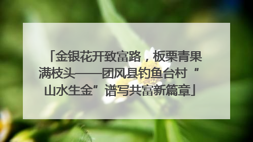 金银花开致富路，板栗青果满枝头——团风县钓鱼台村“山水生金”谱写共富新篇章