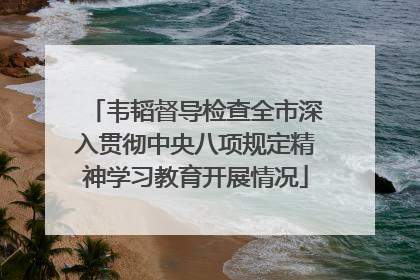 韦韬督导检查全市深入贯彻中央八项规定精神学习教育开展情况