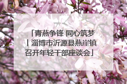 青燕争锋 同心筑梦丨淄博市沂源县燕崖镇召开年轻干部座谈会