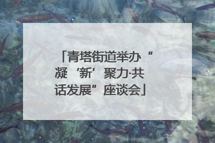 青塔街道举办“凝‘新’聚力·共话发展”座谈会