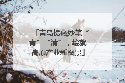 青岛援藏妙笔“青”“清”，绘就高原产业新图景