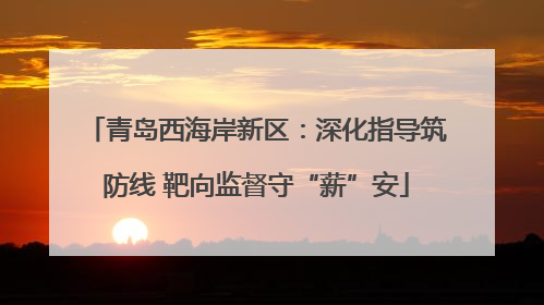 青岛西海岸新区：深化指导筑防线 靶向监督守“薪”安