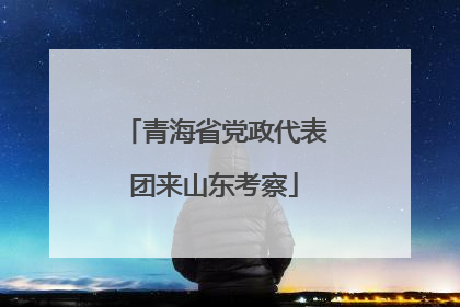 青海省党政代表团来山东考察