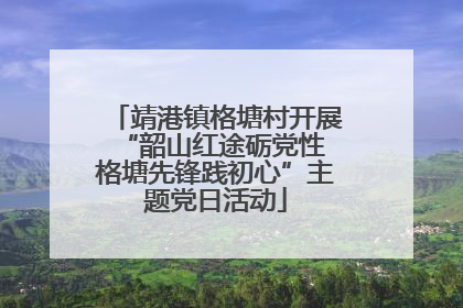 靖港镇格塘村开展“韶山红途砺党性 格塘先锋践初心”主题党日活动