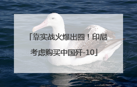 靠实战火爆出圈！印尼考虑购买中国歼-10