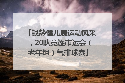 银龄健儿展运动风采，20队竞逐市运会（老年组）气排球赛