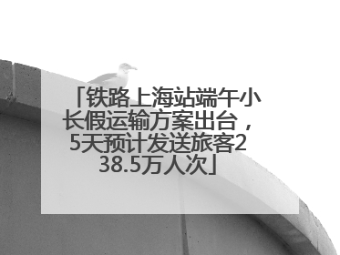 铁路上海站端午小长假运输方案出台，5天预计发送旅客238.5万人次