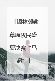 锡林郭勒草原牧民盛夏决赛“马超”