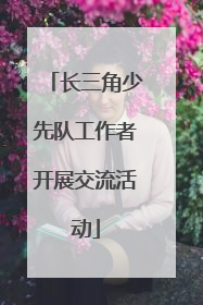 长三角少先队工作者开展交流活动