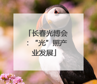 长春光博会：“光”照产业发展