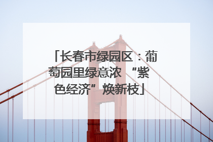 长春市绿园区：葡萄园里绿意浓 “紫色经济”焕新枝