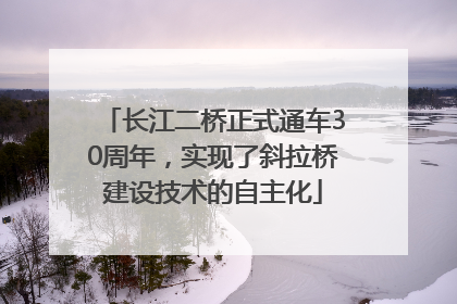 长江二桥正式通车30周年，实现了斜拉桥建设技术的自主化
