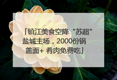 镇江美食空降“苏超”盐城主场，2000份锅盖面+ 肴肉免费吃