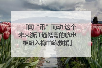 闻“汛”而动 这个未来浙江通赣粤的航电枢纽入梅前练救援