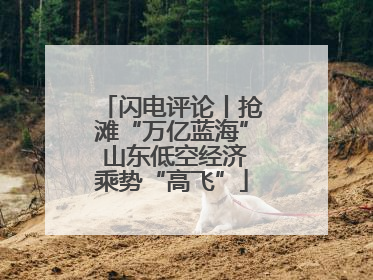 闪电评论丨抢滩“万亿蓝海” 山东低空经济乘势“高飞”