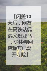 闭关10天后，网友在高铁站偶遇文班亚马，少林寺回应称其已离开寺院