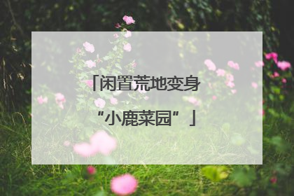闲置荒地变身“小鹿菜园”