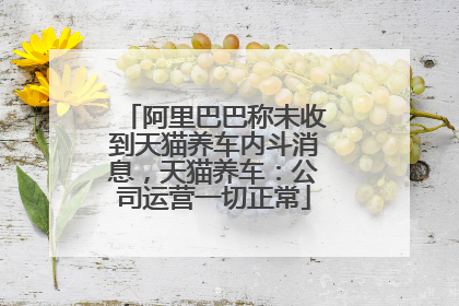 阿里巴巴称未收到天猫养车内斗消息，天猫养车：公司运营一切正常