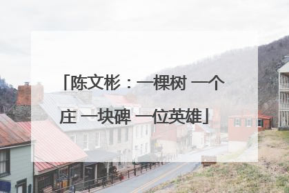 陈文彬：一棵树 一个庄 一块碑 一位英雄