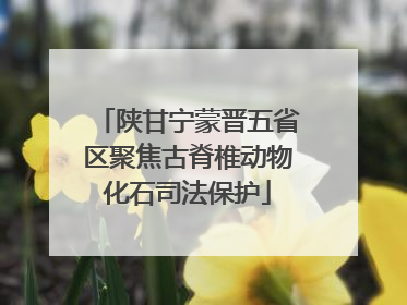 陕甘宁蒙晋五省区聚焦古脊椎动物化石司法保护