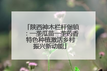 陕西神木栏杆堡镇：一垄瓜苗一垄药香 特色种植激活乡村振兴新动能
