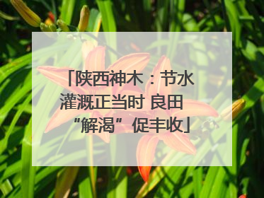 陕西神木：节水灌溉正当时 良田“解渴”促丰收