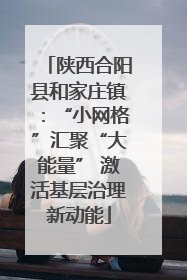 陕西合阳县和家庄镇：“小网格”汇聚“大能量” 激活基层治理新动能